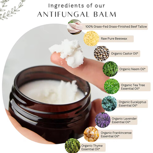 Bálsamo de Aceite de Árbol de Té Personalizado para Alivio de la Piel, Bálsamo Batido de Miel Cruda, <span class=keywords><strong>Crema</strong></span> de Sebo de Res para el Rostro, Loción de Sebo - Product Image 2