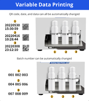 Codeur à jet d'encre statique Willita WLD-J2 600 DPI |   Imprimante portable de codes QR et de dates pour surfaces en plastique concaves et convexes