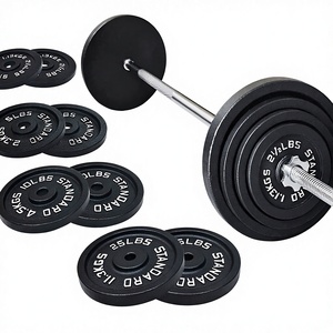 Fabrikneue Hantelscheiben-Sets aus Gusseisen mit Hantelstange, <span class=keywords><strong>255lb</strong></span> Scheiben + 45lb Langhantelstange, 300lbs Krafttrainingsset - Product Image 1