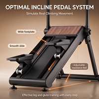 Mini Stepper d'Exercice Pliable pour la Maison, Appareil de Fitness Aérobique pour l'Entraînement en Montagne