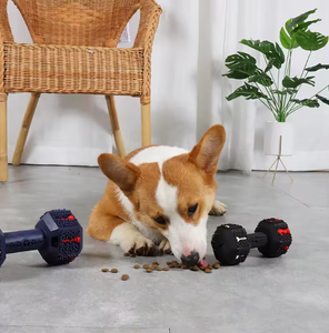 Juguete Masticable para Mascotas Resistente a Mordidas, Juguete Masticable para Perros con Forma de Mancuerna Redonda, Juguete para Perros de Goma Natural - Product Image 6