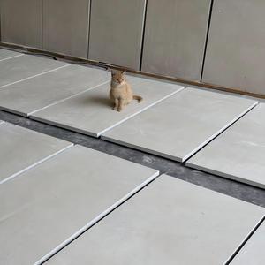 Piedra Caliza Beige <span class=keywords><strong>Gaudi</strong></span> |   Base Cálida con Textura Fósil Sutil |   Revestimiento de Paredes y Pavimentación para Proyectos de Villas, Corte Personalizado a Medida - Product Image 2