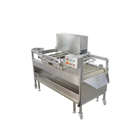 Goede Prijs Industriële Commerciële Automatische Suikerrietwasmachine Fruitreinigingsmachine