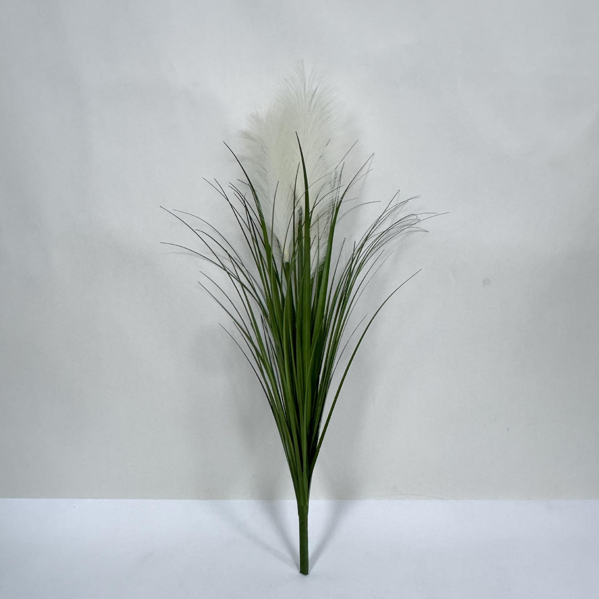 Green pure white 85cm three head reed