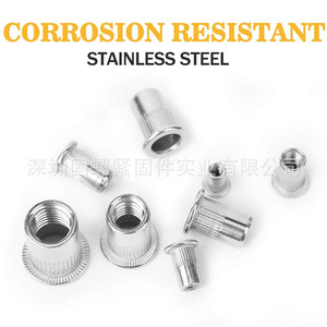 304 Stainless Steel Rivet Nut Set 205pcs Metric Thread Inserts M3 M4 M5 M6 M8 M10 Flat Head Vertical Stripe Screw Cap Box - Product Image 3