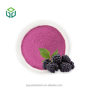 Extrato e Suco de Amora em Pó de Grau Alimentício com Marca Privada OEM em Garrafa - Product Image 1