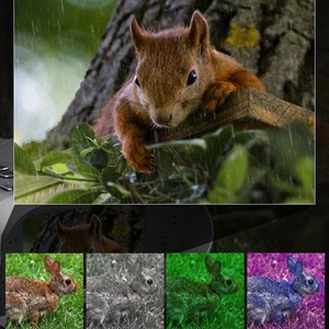 SUNCORE Night Vision Binoculars 24mm Infrared Digital Outdoor Hunting Goggles - Product Image 3