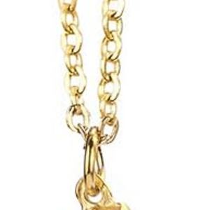 Collares Personalizados con Colgante de Concha Hawaiana Chapados en Oro de 18K, Joyería de Acero Inoxidable, Collar con Colgante de Caracol para Mujer - Product Image 3