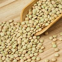 Lentilles vertes entières, prix usine, nettoyées à la machine, non-OGM, en vrac 25 kg/50 sacs, prêtes à être expédiées