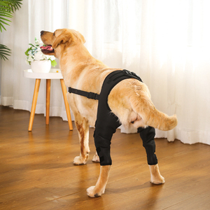 Soporte de Rodilla Personalizable para Perros, Protector de Piernas, Manga de Recuperación para Mascotas, Soporte para <span class=keywords><strong>Dolor</strong></span> Articular - Product Image 3