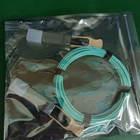 Optic Networking Active Optical Cable QSFP28 100G OM2/OM3/OM4 Fiber 1m 3m 5m 10m 15m 20m Server Room/Data Center Use China