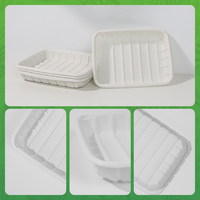 Barquettes jetables carrées en amidon de maïs biodégradables et compostables, sans BPA, écologiques, personnalisables pour desserts et repas