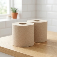 Papier toilette en bambou biodégradable, durable, doux, résistant, sans peluches, antibactérien, pour la maison et la salle de bain, vente en gros OEM ODM