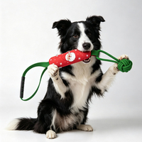 Jouet pour chien résistant aux morsures, balle à nœuds, corde à tirer, jouet interactif qui couine pour l'entraînement et les jeux du chien