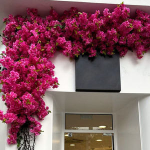 <span class=keywords><strong>Bougainvillier</strong></span> Artificiel <span class=keywords><strong>en</strong></span> Plastique à Hautes Branches et Tiges Haute Densité pour Décoration Florale Intérieure et Extérieure (Maison, Mariage, Salon) - Product Image 1