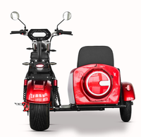 Vélo de banlieue à 3 roues avec side-car, moto électrique, batterie au lithium, 60V 2000W, vitesse maximale 45 km/h, autonomie 60 km, certifié EEC DOT