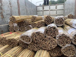 Bâtons de bambou de petit diamètre, piquets de jardin naturels, cannes de soutien pour plantes, pour pépinières, agriculture, Vietnam - Product Image 4