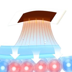 Plester <span class=keywords><strong>Herbal</strong></span> Pereda Nyeri Tulang Belakang Leher 10*13cm Bersertifikat CE Perawatan Efektif untuk Nyeri Tulang Belakang - Product Image 2