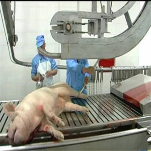 Équipement d'abattoir de cochon, machine d'abattoir de cochon/équipement de boucherie de la viande de <span class=keywords><strong>porc</strong></span> de <span class=keywords><strong>chine</strong></span> - Product Image 3