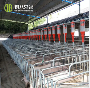 Tùy chỉnh thực hiện điều kiện mới trang trại lợn mang thai Thùng Chất lượng cao động vật lồng lợn nuôi 1 năm bảo hành - Product Image 3