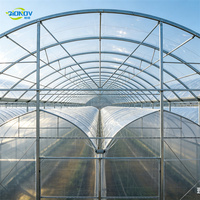 Serre agricole professionnelle multi-travées en film CE, tunnel en acier galvanisé avec refroidissement par ventilateur