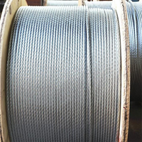 3mm 6mm 8mm Grade 70 SAE1070 72A 72B 77B SWRH 82A 82B 2mm 3mm Fil d'acier à ressort à haute teneur en carbone