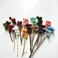 Gereduceerde prijs Natuurlijke Enkelstammige Scabiosa Gedroogde Windmolenbloem Esthetisch Bloemdecoratie voor Feest Huisdecoratie