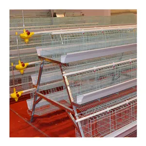 China chicken cage manufacturers design a type chicken cage for layer