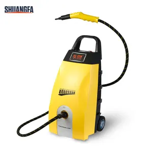 High pressure steam car washer,5-8Bar with dry steam and wet steam,high pressure steam cleaner