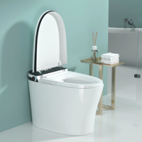 En gros WC intelligent monobloc en céramique avec bidet, à poser au sol, siphon en S, télécommande, fonction lavage féminin et siège chauffant