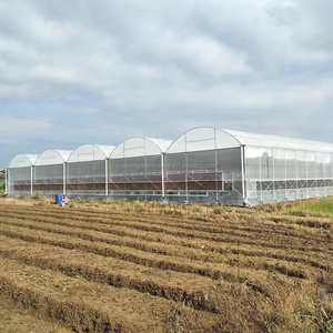 <strong>Etfe</strong> <strong>Greenhouse</strong> Film Using for High Quality Plastic <strong>Greenhouse</strong> - Product Image 4