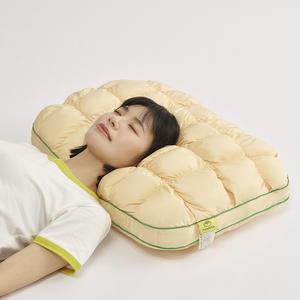 Dış Ticaret Sınır Ötesi Ananas Ekmek Yastık İçliği Yüksek Esneklikli Sıkıştırılmış Tüy Kadife Minimalist Tasarım Yastık - Product Image 4