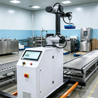 Machine de palettisation entièrement automatique pour sacs plastiques, petites palettes, colonnes, piliers, ciment, boîtes et cartons, avec robot de palettisation chinois