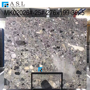 Conglomerado Ceppo Grigio de Alta Calidad, Ceppo Di Gre Claro, Baldosas de Piedra Natural Gris - Product Image 4