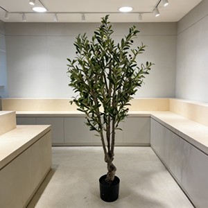 Olivo Artificial - Plástico Duradero Ecológico de Alta Simulación para Uso en Interiores/Exteriores - Product Image 6
