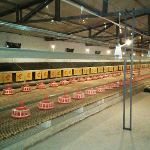 BOLONG Équipement de collecte d'œufs de <span class=keywords><strong>poule</strong></span> en liberté poulailler nichoir de poulet - Product Image 6