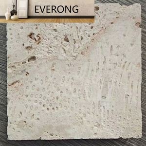 Natural blanco Beige mar Coralstone agujeros sin relleno crema Beige Coral travertino <span class=keywords><strong>Coralina</strong></span> piedra losa azulejo pared Panel ladrillo - Product Image 1