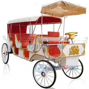 Transport spécial pour le tourisme et les visites touristiques, calèche - Product Image 3