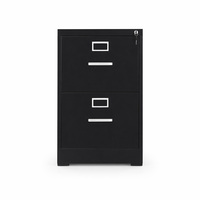 Archivador Metálico Negro Moderno de 2 Cajones, Gabinete de Almacenamiento de Acero con Cerradura para Documentos, Archivador Vertical
