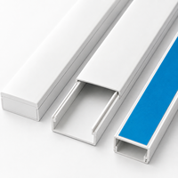 Cache-câbles en PVC pour téléviseurs muraux et systèmes de divertissement à domicile