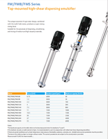 Émulsifiant Dispersant à Cisaillement Élevé FMB160 à Montage Supérieur pour Produits Chimiques et Plastiques, Capacité 300L, Puissance 7.5kW
