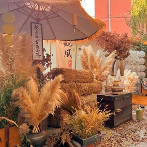 <span class=keywords><strong>Planta</strong></span> seca de Flor de Caña de Pampa roja grande natural para paisaje de boda y decoración de muebles para el hogar ramo de decoración del hogar de Internet - Product Image 3