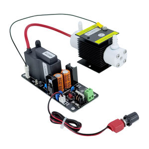 CE FCC ROHS Producto patentado 1 G/H 1 gramo Kit generador de ozono ajustable Fabricante de módulos de ozono de alta calidad - Product Image 6