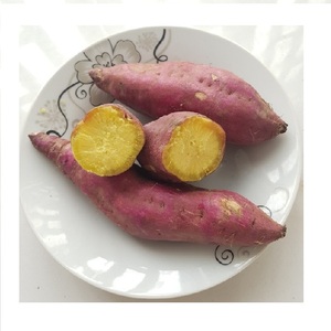 Rodajas de Caña de Batata Amarilla, Morada y Roja, Vegetales Congelados LQF, Personalizables para Freír o Cocinar al Vapor, Grado Superior de Vietnam - Product Image 4
