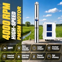 Pompes submersibles solaires en acier inoxydable haute pression pour systèmes d'irrigation goutte à goutte agricoles