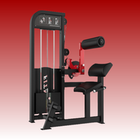 Machine d'extension arrière d'équipement commercial de forme physique