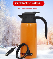 Bouilloire électrique de voiture 12V 24V 800ml en acier inoxydable à ébullition rapide portable pour camion, camping-car et camping