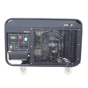 BISON (Tiongkok) BS15000DCE(H) 11KW 11KVA Harga Pabrik Pabrik OEM Harga Generator Diesel Pemasok Cina Di India