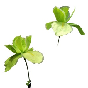 Fleur artificielle en papier <span class=keywords><strong>iris</strong></span> multicouche haut de gamme, grande taille, imperméable, pour activités extérieures, décoration Alice - Product Image 4