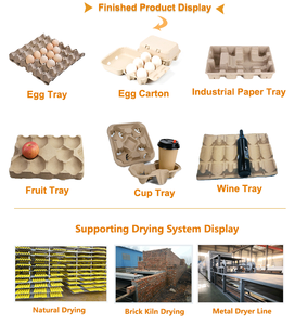 Nouvelles idées pour les machines de recyclage des déchets des petites entreprises prix de la machine à plateau d'œufs entièrement automatique - Product Image 3